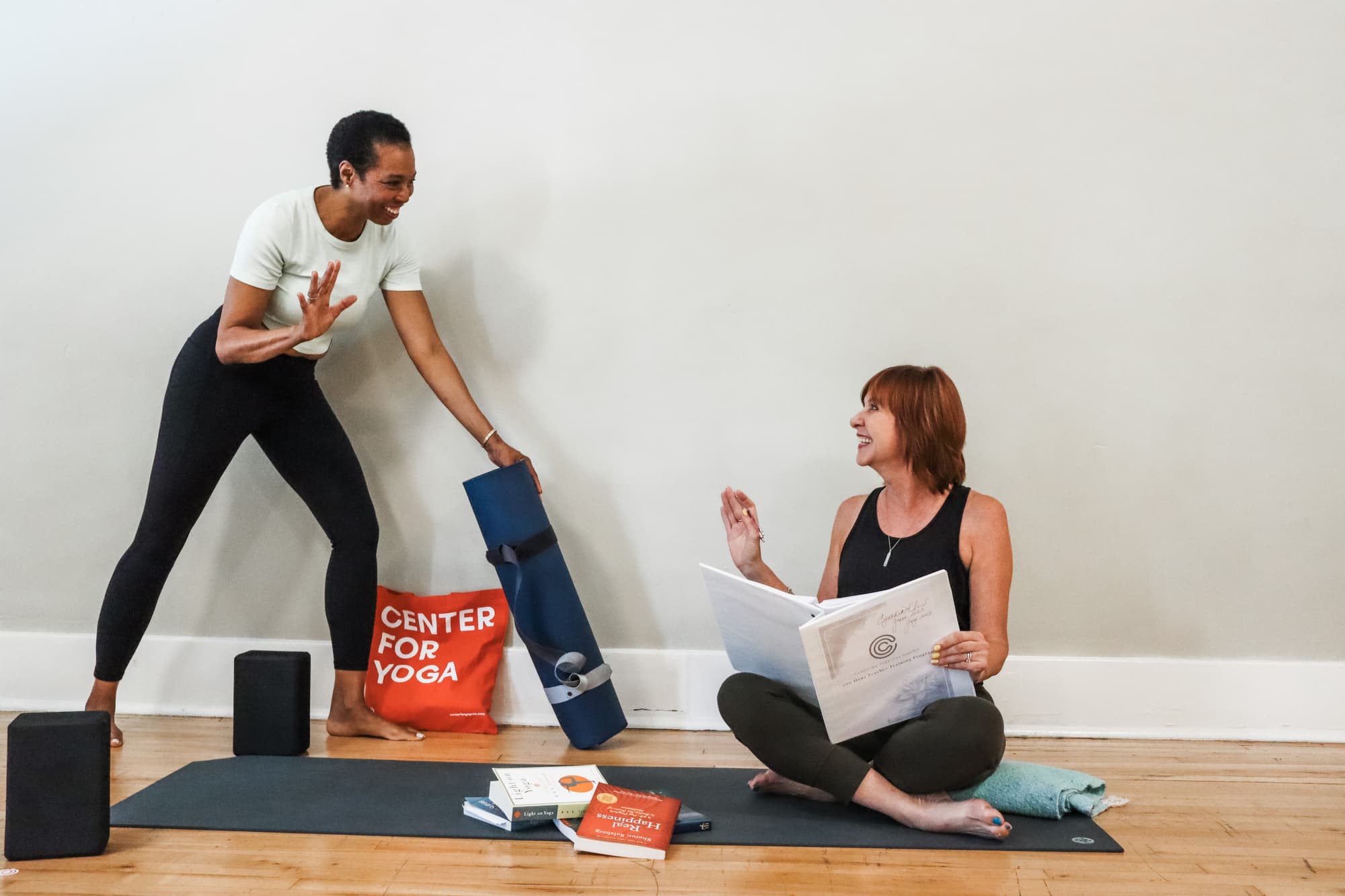 Hands On Adjustments for Yoga Teachers and Teacher Trainees — Joy of Yoga,  A Center For Healing